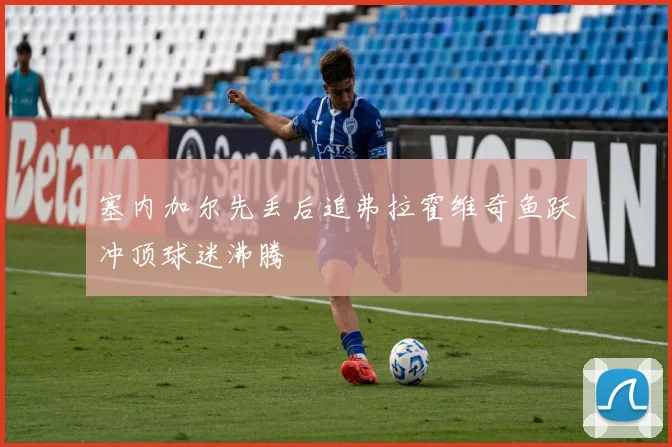塞内加尔先丢后追弗拉霍维奇鱼跃冲顶球迷沸腾