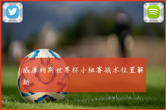 威廉姆斯世界杯小组赛战术位置解析