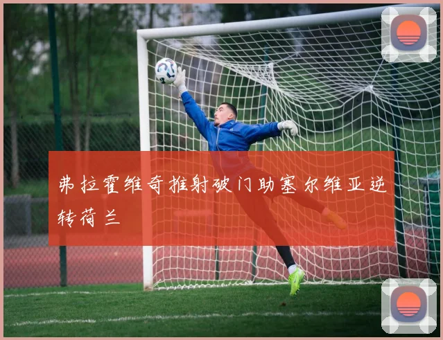 弗拉霍维奇推射破门助塞尔维亚逆转荷兰