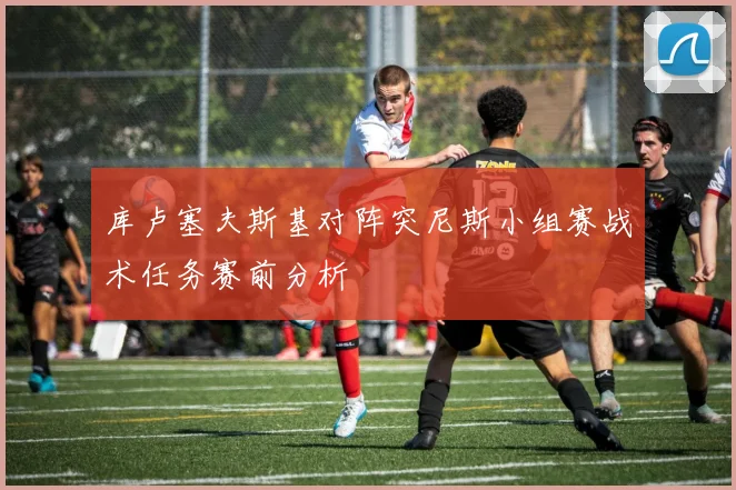 库卢塞夫斯基对阵突尼斯小组赛战术任务赛前分析