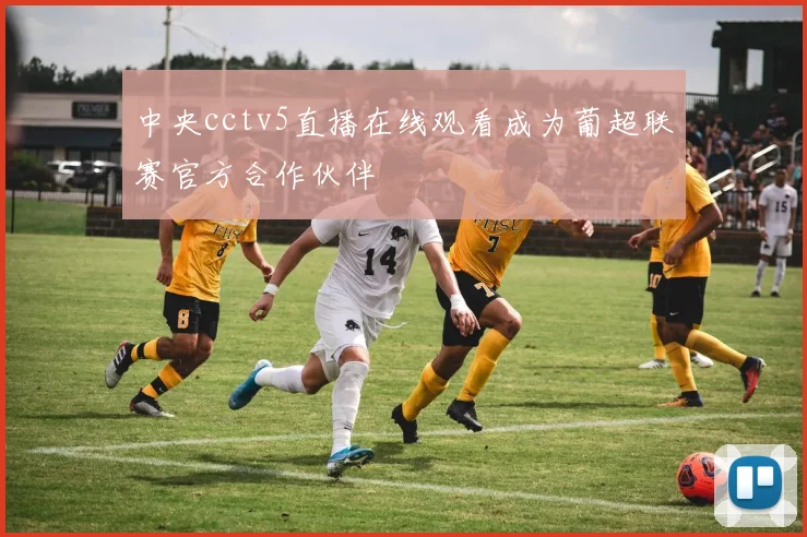 中央cctv5直播在线观看成为葡超联赛官方合作伙伴