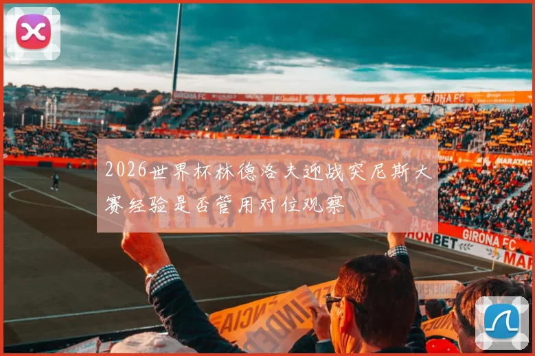 2026世界杯林德洛夫迎战突尼斯大赛经验是否管用对位观察