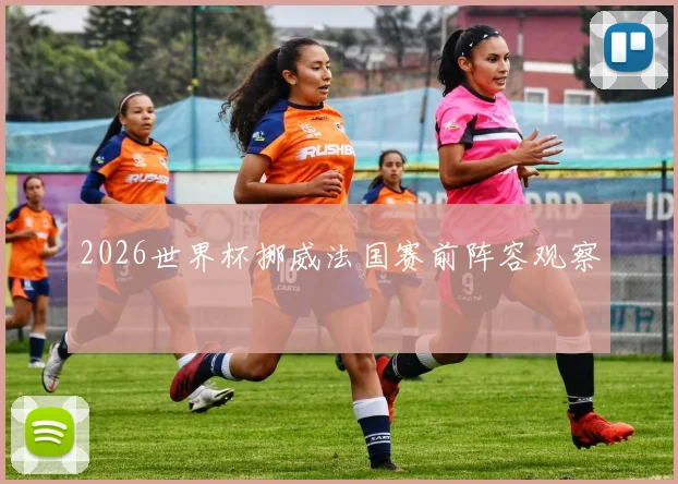 2026世界杯挪威法国赛前阵容观察