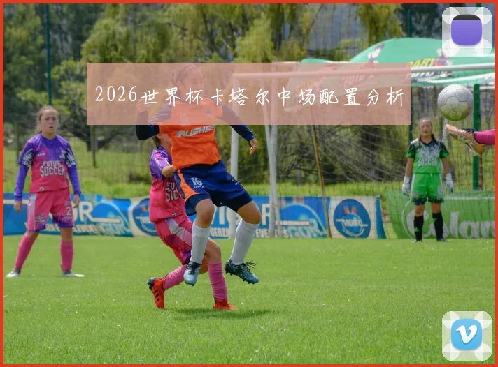2026世界杯卡塔尔中场配置分析