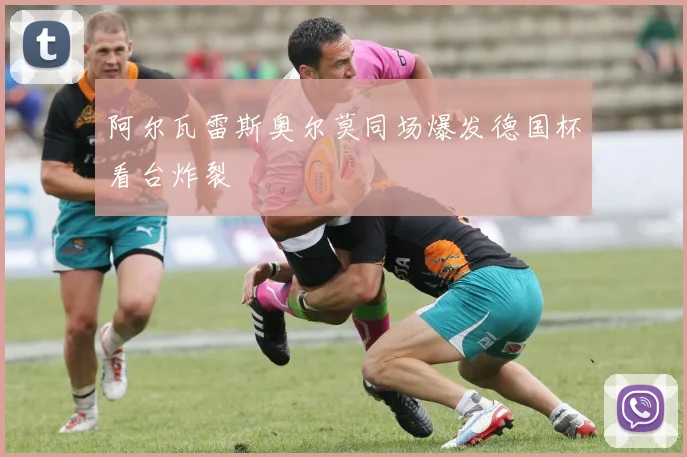 阿尔瓦雷斯奥尔莫同场爆发德国杯看台炸裂