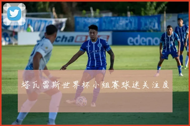 塔瓦雷斯世界杯小组赛球迷关注度