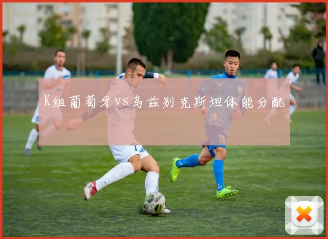 K组葡萄牙vs乌兹别克斯坦体能分配
