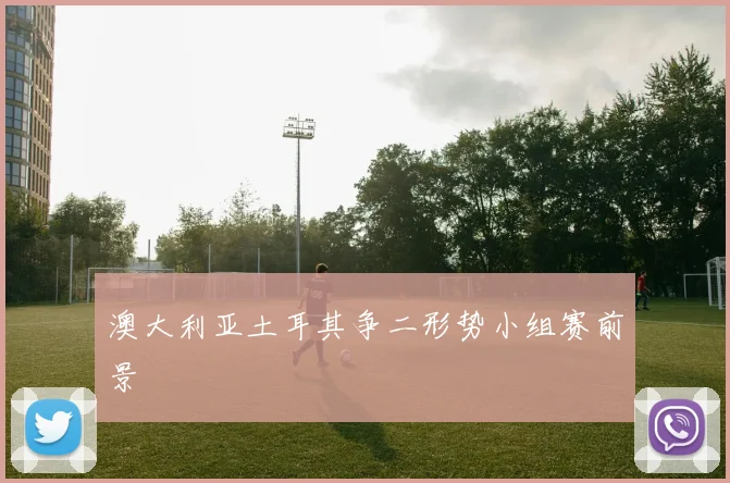 澳大利亚土耳其争二形势小组赛前景